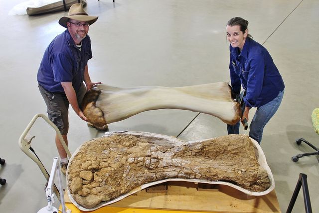 Вчені оголосили про відкриття нового і одного з найбільших видів динозаврів - фото 516960