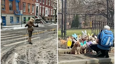 Странные и смешные фото о том, что могло произойти только в Нью-Йорке