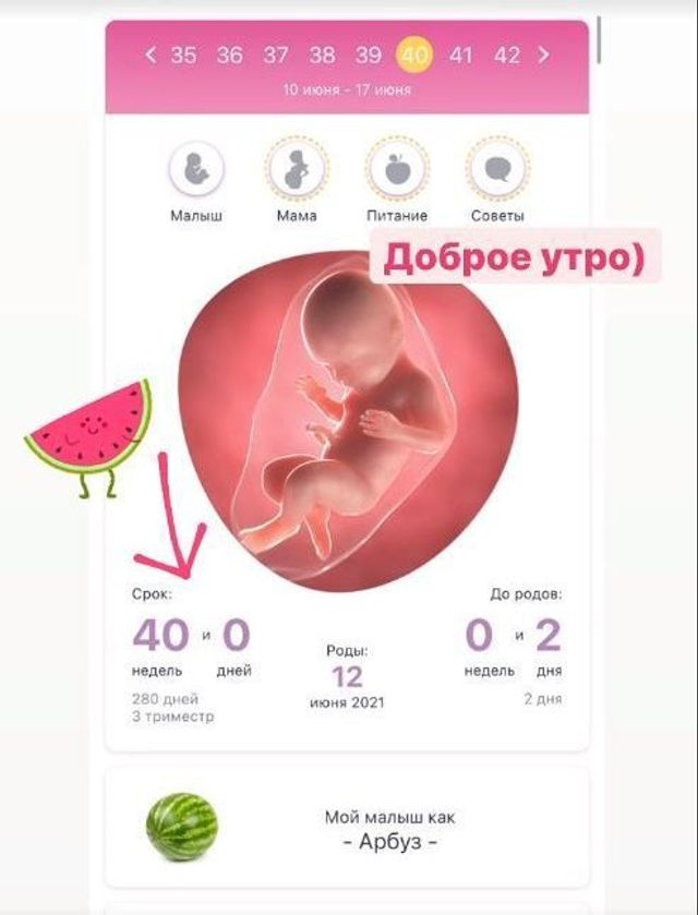 Беременная Екатерина Репяхова, которая через несколько дней станет мамой, показала фигуру - фото 517120
