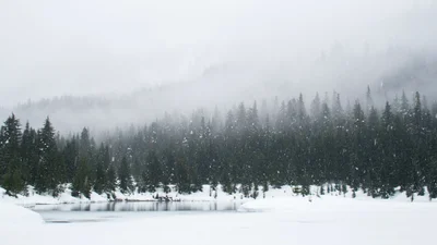 В Карпатах выпал снег – вот такое лето в Украине