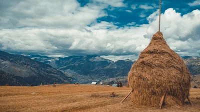 Україна потрапила до рейтингу топових туристичних країн Європи
