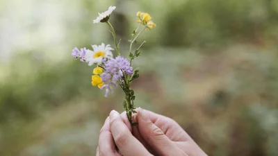 Дуже витончено: український бренд створив прикраси у вигляді польових квітів