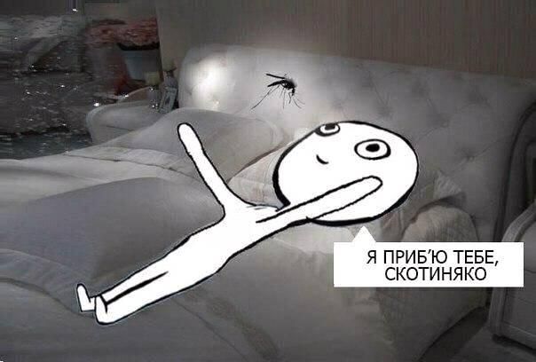 Курьезные мемы о лете, в которых ты точно узнаешь себя - 518083 Курьезные мемы о лете, в которых ты точно узнаешь себя - фото 518083