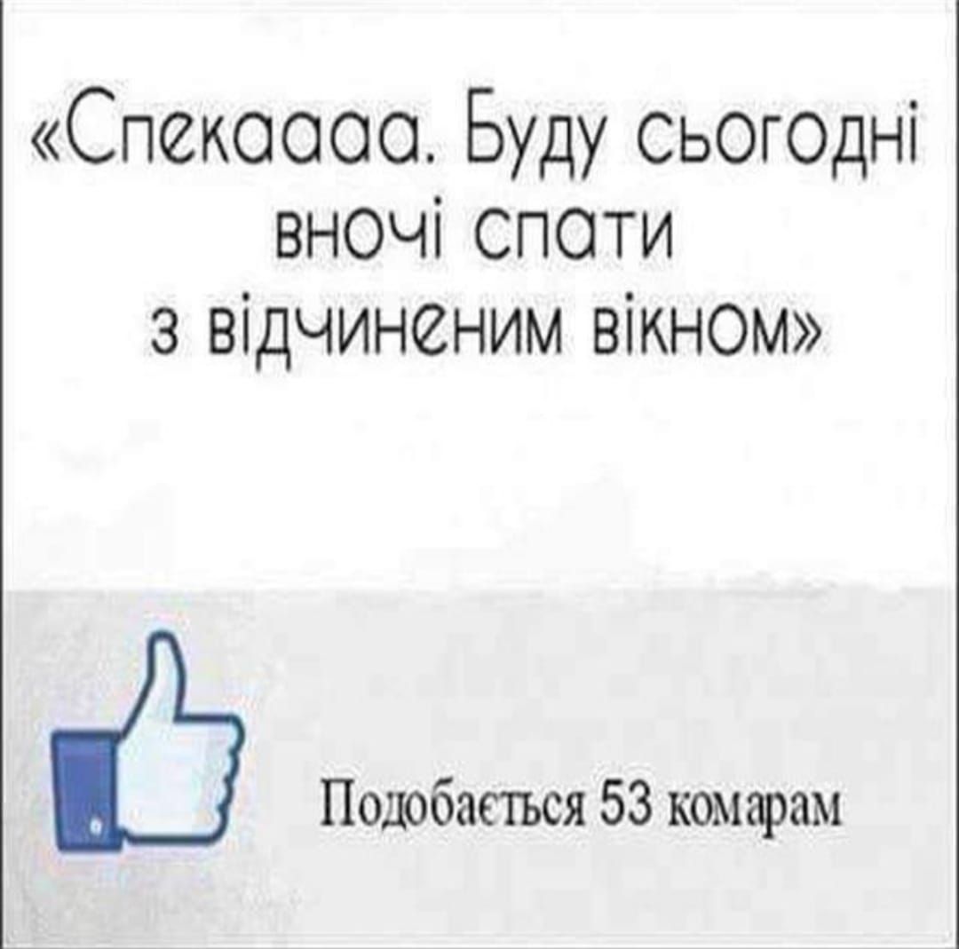 Курьезные мемы о лете, в которых ты точно узнаешь себя - 518084 Курьезные мемы о лете, в которых ты точно узнаешь себя - фото 518084