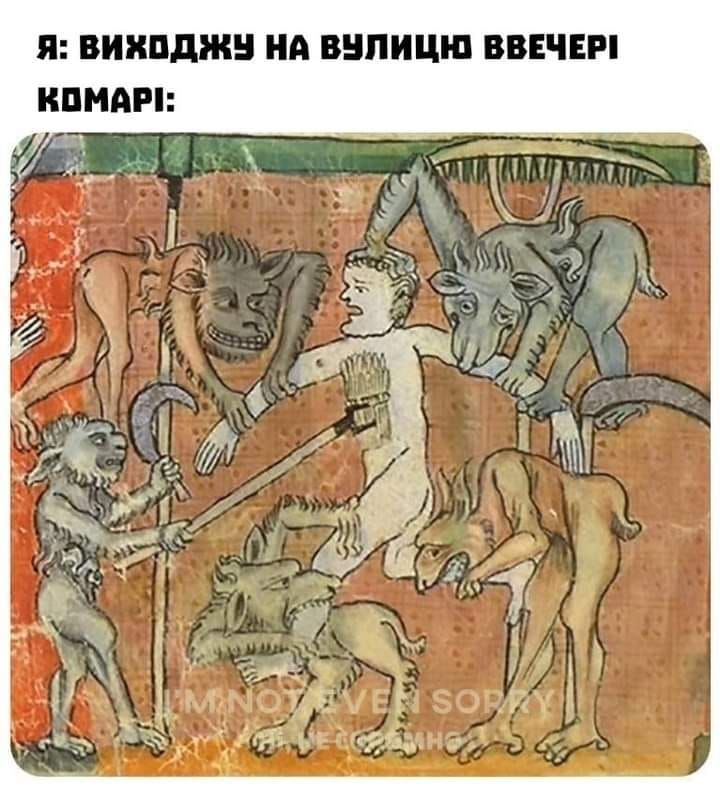 Курьезные мемы о лете, в которых ты точно узнаешь себя - 518089 Курьезные мемы о лете, в которых ты точно узнаешь себя - фото 518089