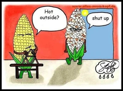Адская жара - главная тема для забавных мемов в интернете - фото 519567