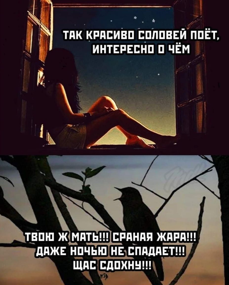 Адская жара - главная тема для забавных мемов в интернете - 519573 Адская жара - главная тема для забавных мемов в интернете - фото 519573