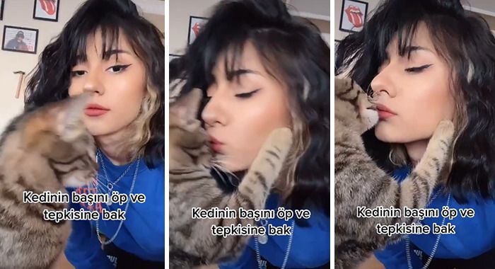 Забавный проект: владельцы неожиданно целуют любимцев и показывают их забавную реакцию - 519887 Забавный проект: владельцы неожиданно целуют любимцев и показывают их забавную реакцию - фото 519887
