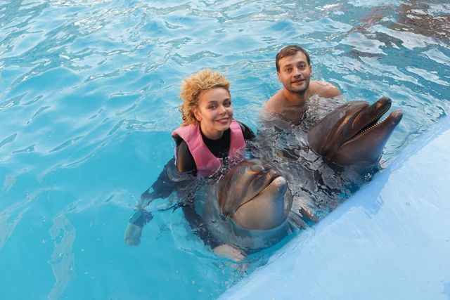 Алина Гросу с любимым устроили свидание в дельфинарии - фото 520805