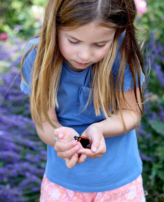 Кейт Миддлтон показала новое фото принцессы Шарлотты с бабочками - фото 521033