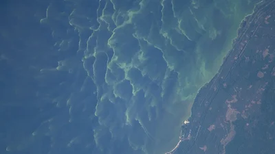 Олімпійський, Бориспіль та Київське море: NASA зняло розкішні краєвиди Києва з космосу