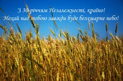 З Днем Незалежності України 2021 листівки - фото 521945