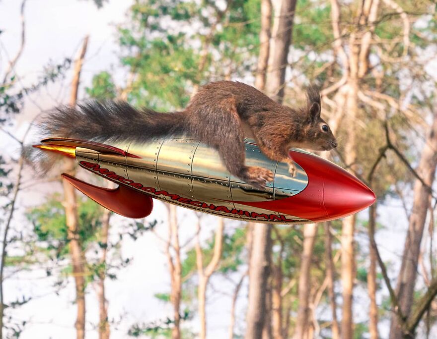Фотограф попросив відфотошопити його знімки з тваринами – вийшла повна рвань - 522328 Фотограф попросив відфотошопити його знімки з тваринами – вийшла повна рвань - фото 522328