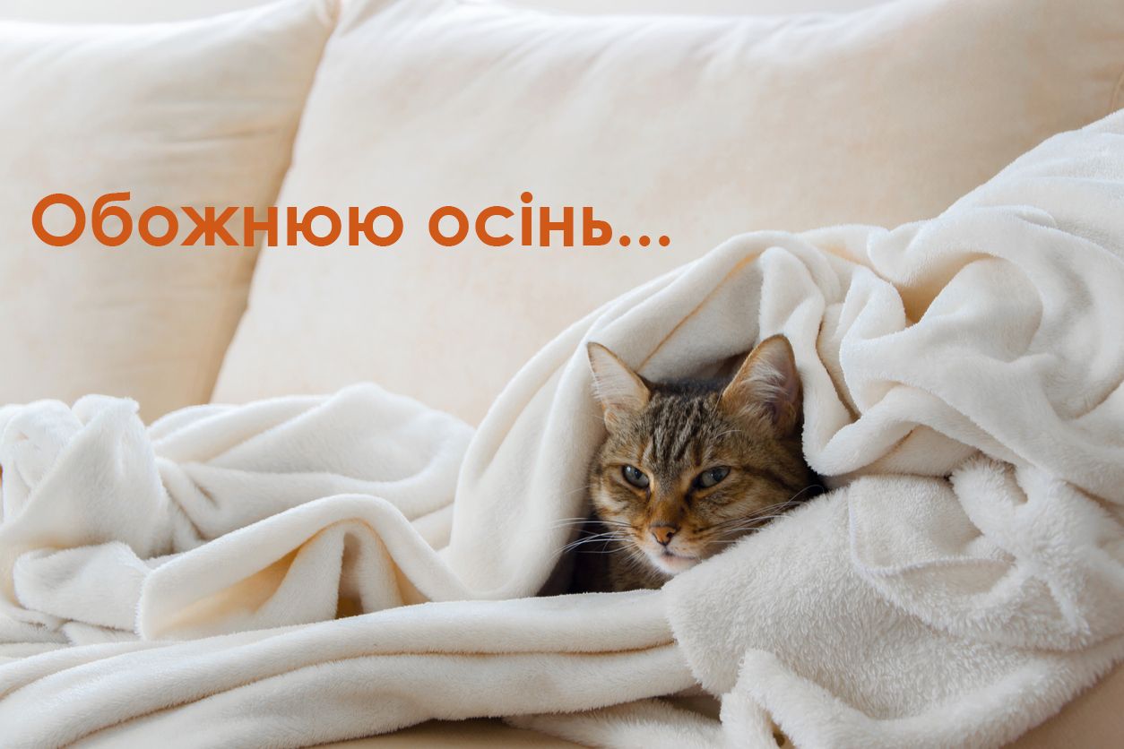 Перший день осені картинки прикольні - 522675 Перший день осені картинки прикольні - фото 522675