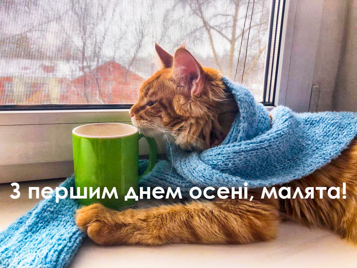 Перший день осені картинки прикольні - 522682 Перший день осені картинки прикольні - фото 522682