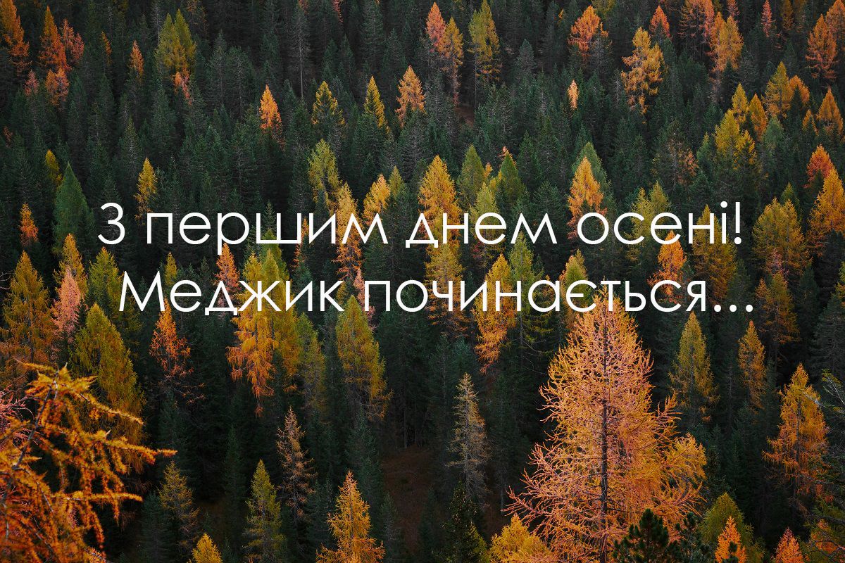 Привітання з першим днем осені прикольні - 522683 Привітання з першим днем осені прикольні - фото 522683
