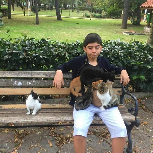Сеть покоряют нелепые фото с животными, с которых ты будешь хохотать - 523118 Сеть покоряют нелепые фото с животными, с которых ты будешь хохотать - фото 523118