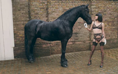 Осторожно, эротика: Agent Provocateur объединил моделей в откровенном белье и лошадей - фото 523242