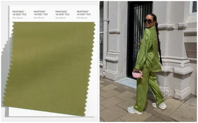 Модні кольори осені 2021 року в одязі - Olive Branch - фото 523510
