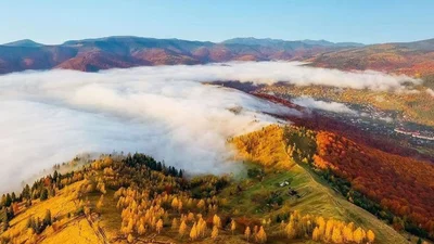 ТОП-10 кадров осенних Карпат, после которых ты побежишь собирать чемоданы