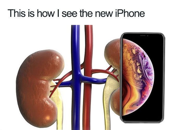 Сеть встретила презентацию iPhone 13 традиционными и шикарными мемами - фото 524387