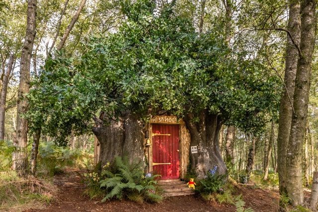 На Airbnb можно арендовать домик Винни Пуха - фото 524560