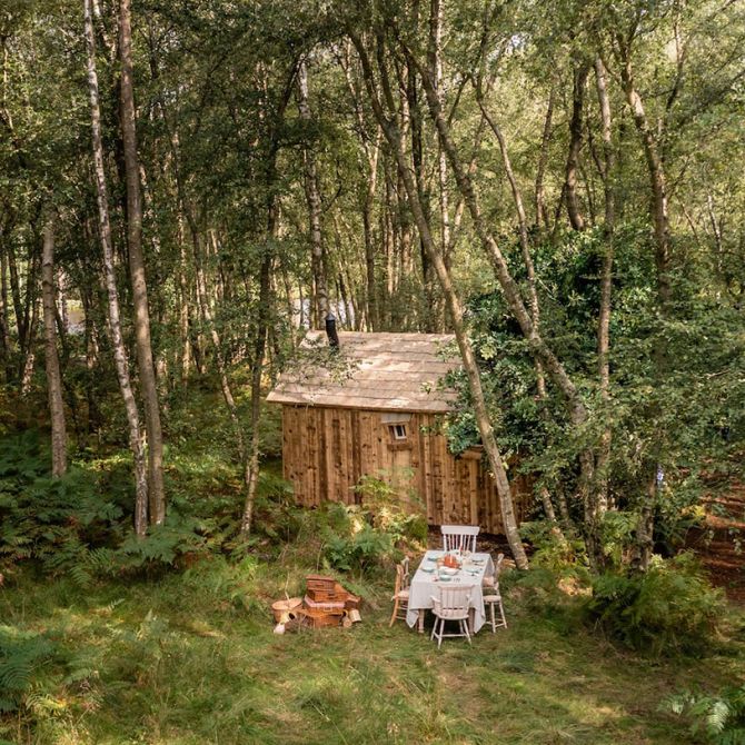 На Airbnb можно арендовать домик Винни Пуха - фото 524561
