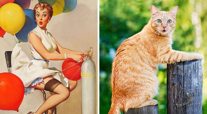 Тебя поразят кошки, которые переплюнули в позировании даже моделей - 524857 Тебя поразят кошки, которые переплюнули в позировании даже моделей - фото 524857
