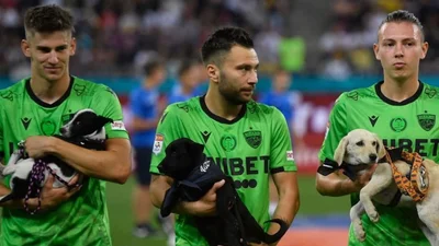 Румунські футболісти вийшли на поле з безпритульними песиками, і це розрив серденька