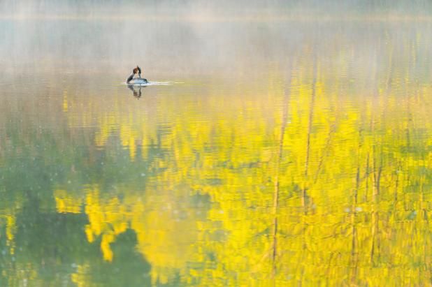 Финалисты конкурса 'WildArt Photographer Of The Year' - фото природы невероятной красоты - 525327 Финалисты конкурса 'WildArt Photographer Of The Year' - фото природы невероятной красоты - фото 525327