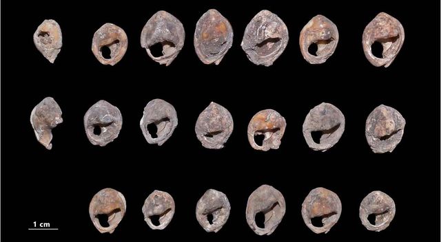 Археологи знайшли найдревніше намисто і ось який воно має вигляд - фото 525480