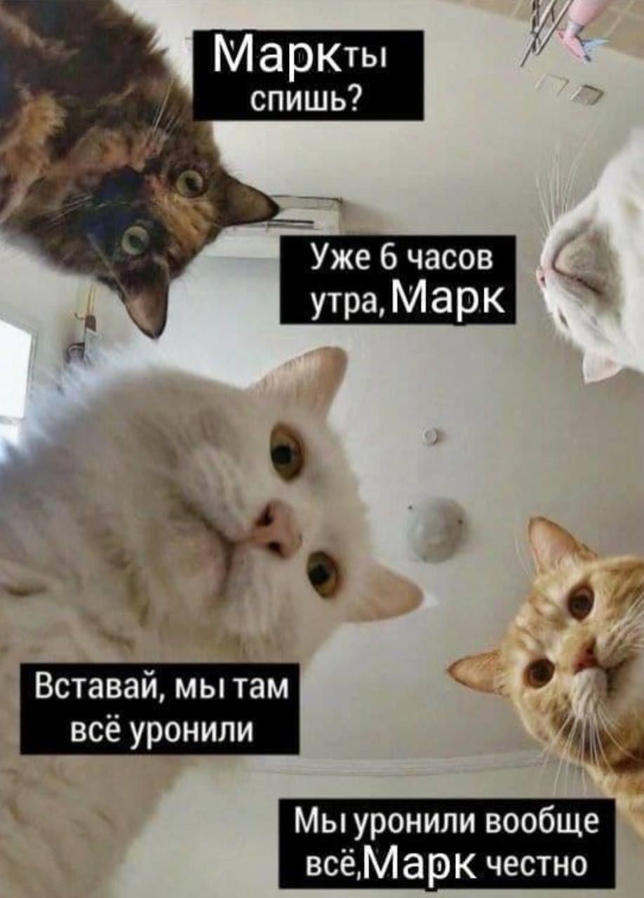 Сеть покорили мемы о глобальном сбое Instagram, от которых ты будешь хохотать до слез - 526327 Сеть покорили мемы о глобальном сбое Instagram, от которых ты будешь хохотать до слез - фото 526327