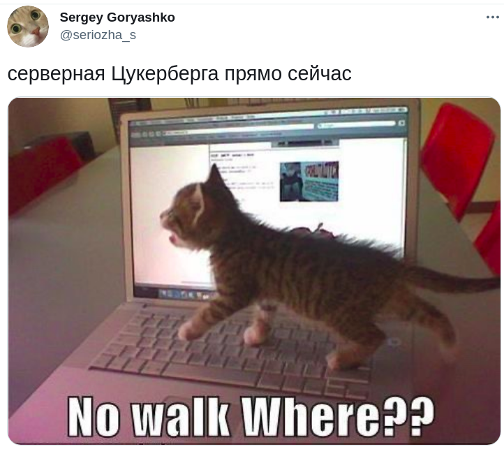 Сеть покорили мемы о глобальном сбое Instagram, от которых ты будешь хохотать до слез - 526331 Сеть покорили мемы о глобальном сбое Instagram, от которых ты будешь хохотать до слез - фото 526331