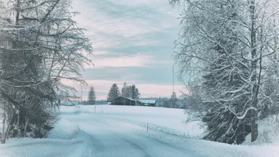 В Буковеле выпал первый снег