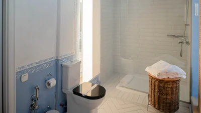 Кота замурували в стіні під час ремонту, але вчасно помітили це