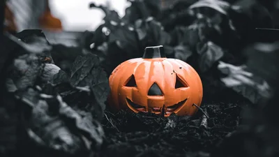 Картинки с Хэллоуином 2023: стильные открытки к жуткому празднику.