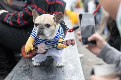 У США пройшов парад із собаками в костюмах до Геловіну – тільки кращі образи - фото 527744
