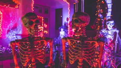 Гений декора: мужчина украсил дом к Хэллоуину гигантским 4-метровым скелетом