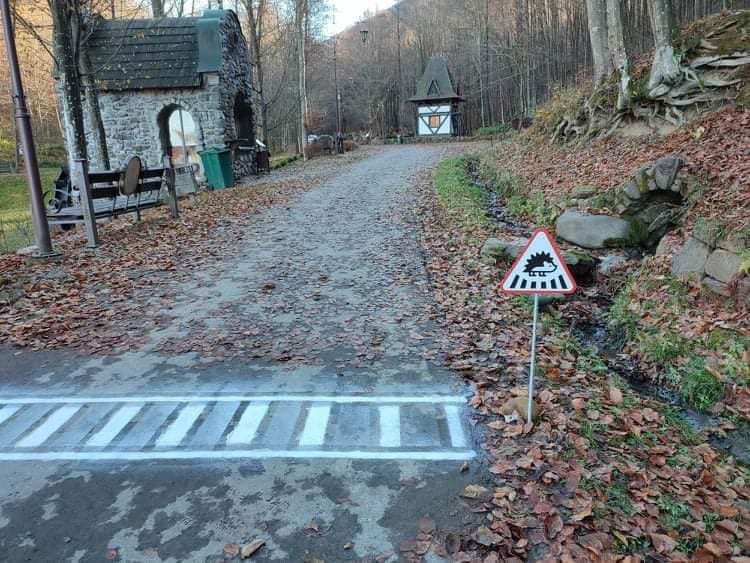 На Закарпатье сделали настоящий пешеходный переход для ежей - фото 529175