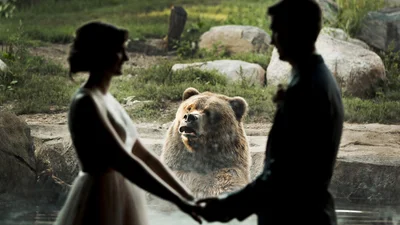 30 моментов, когда люди застукали медведей в смешных позах и ситуациях