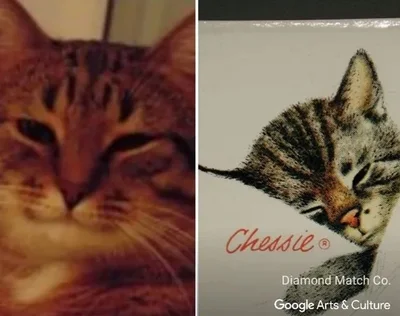 Google запустив функцію, яка шукає двійників тваринок на світових шедеврах - фото 529399