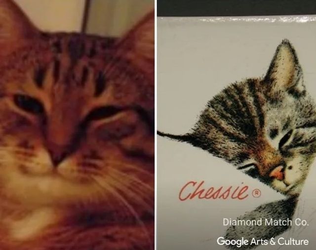 Google запустил функцию, которая ищет двойников животных на мировых шедеврах - фото 529399