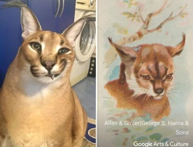 Google запустил функцию, которая ищет двойников животных на мировых шедеврах - фото 529400