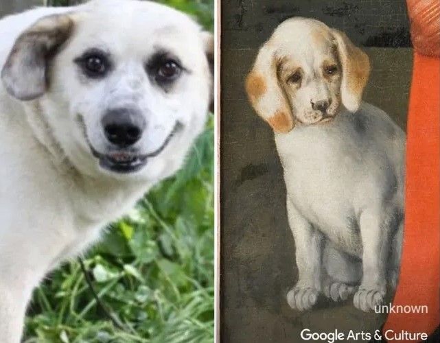 Google запустил функцию, которая ищет двойников животных на мировых шедеврах - фото 529401
