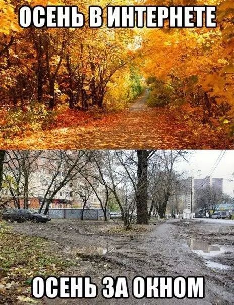 Жизненнее не бывает: ТОП-10 мемов про осень - фото 529596