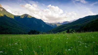 Ученые говорят, что случайный секс вредит природе