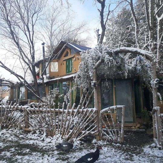 Лайфхак века: пара построила в лесу глиняный дом и теперь не платит коммуналку - 529826 Лайфхак века: пара построила в лесу глиняный дом и теперь не платит коммуналку - фото 529826
