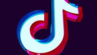 OMG: у Верховной Рады будет TikTok