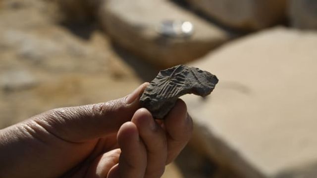 В Египте нашли храм в возрасте 4,5 тысячи лет с кучей пивных кувшинов - фото 530102