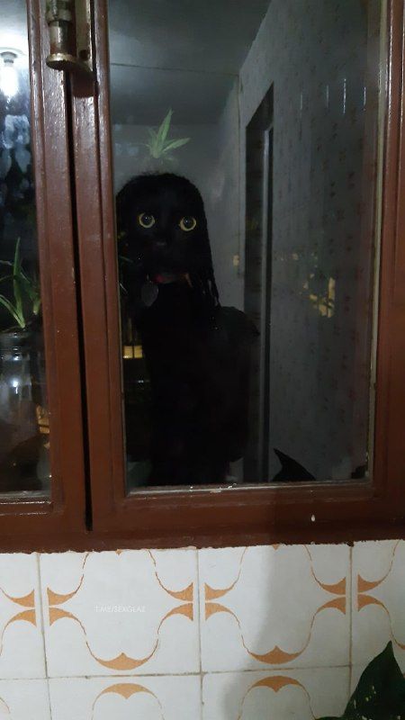 30 фото, на которых совсем не то, что кажется с первого взгляда - фото 530242